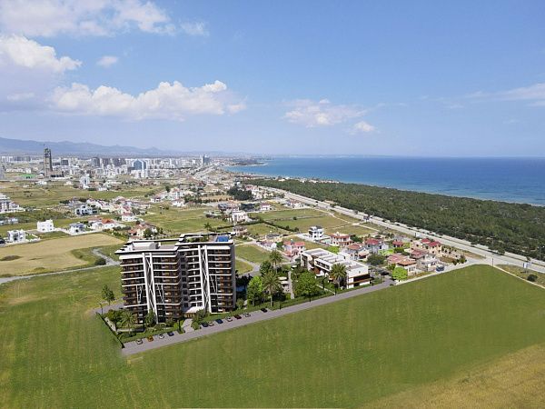 Студия 45 м2 с террасой 45 м2 на крыше