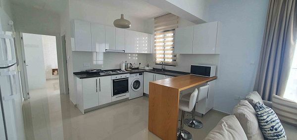 2-комнатные апартаменты 60 м2 с террасой 11 м2, с мебелью и техникой