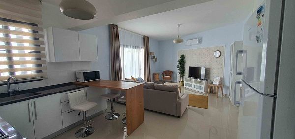2-комнатные апартаменты 60 м2 с террасой 11 м2, с мебелью и техникой