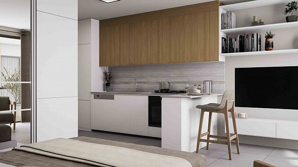Студия penthouse 50м2 с террасой на крыше 45м2